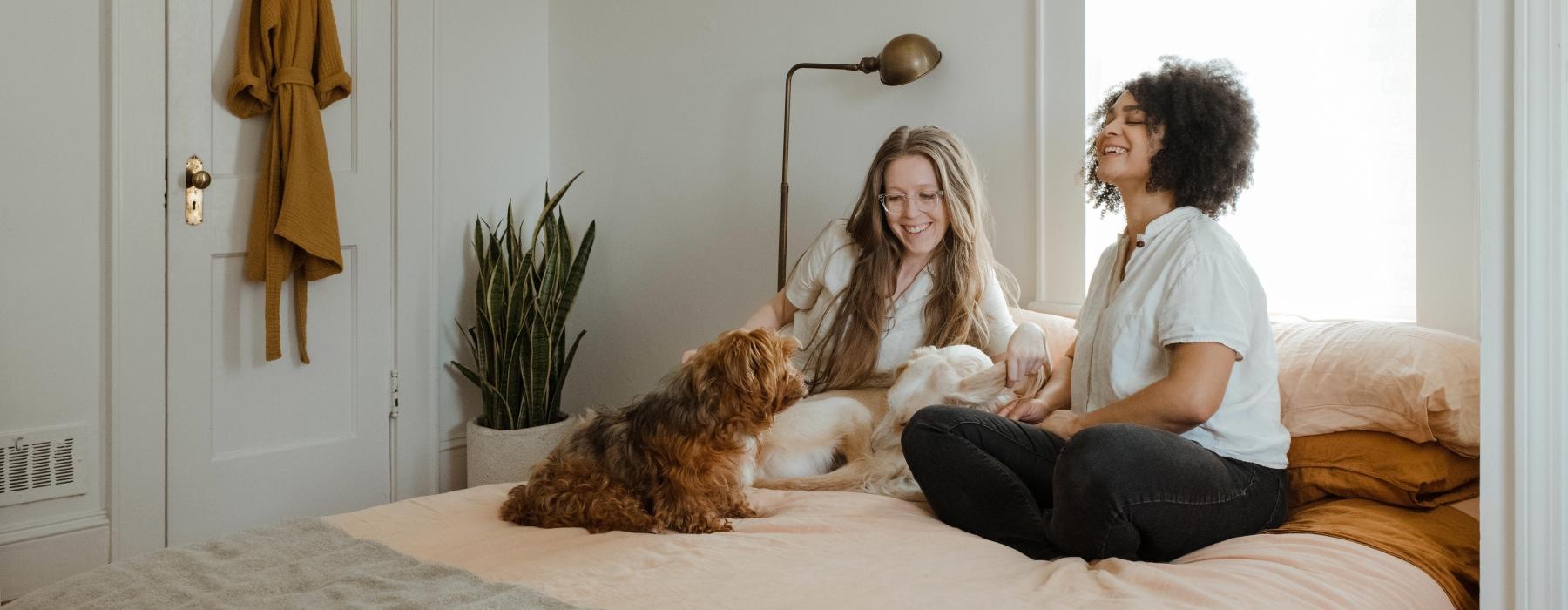 a person and a dog sitting on a bed