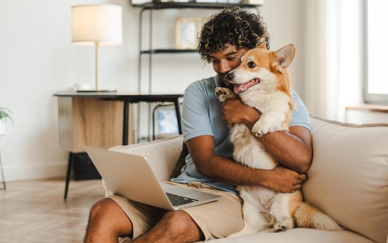 a person and a dog on a couch with a laptop
